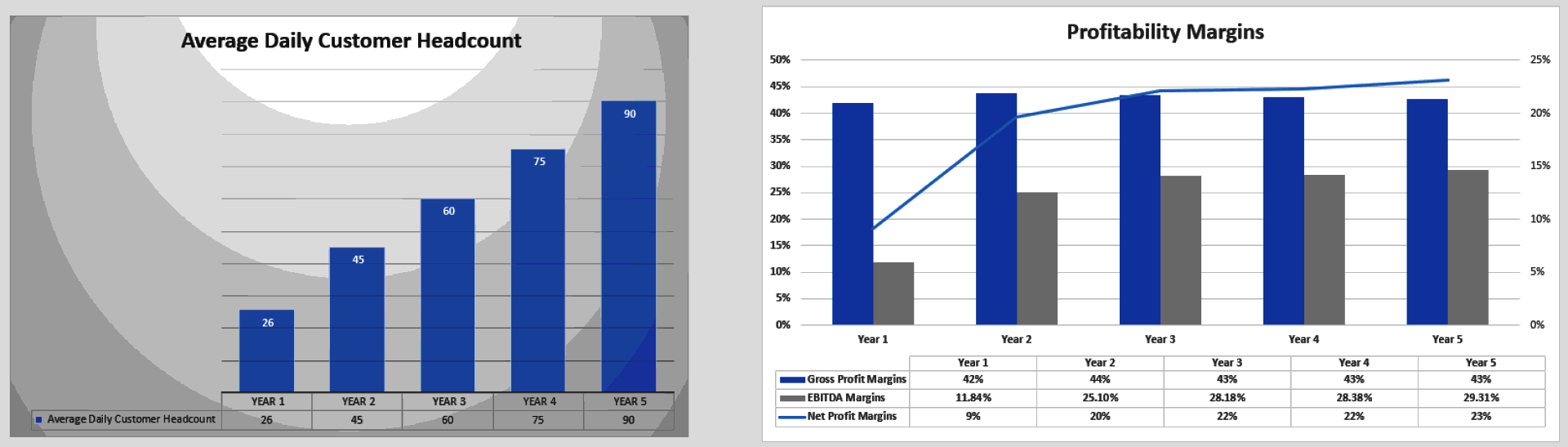 Fast Food Restaurant Financial Model (Excel template (XLSX)) Preview Image