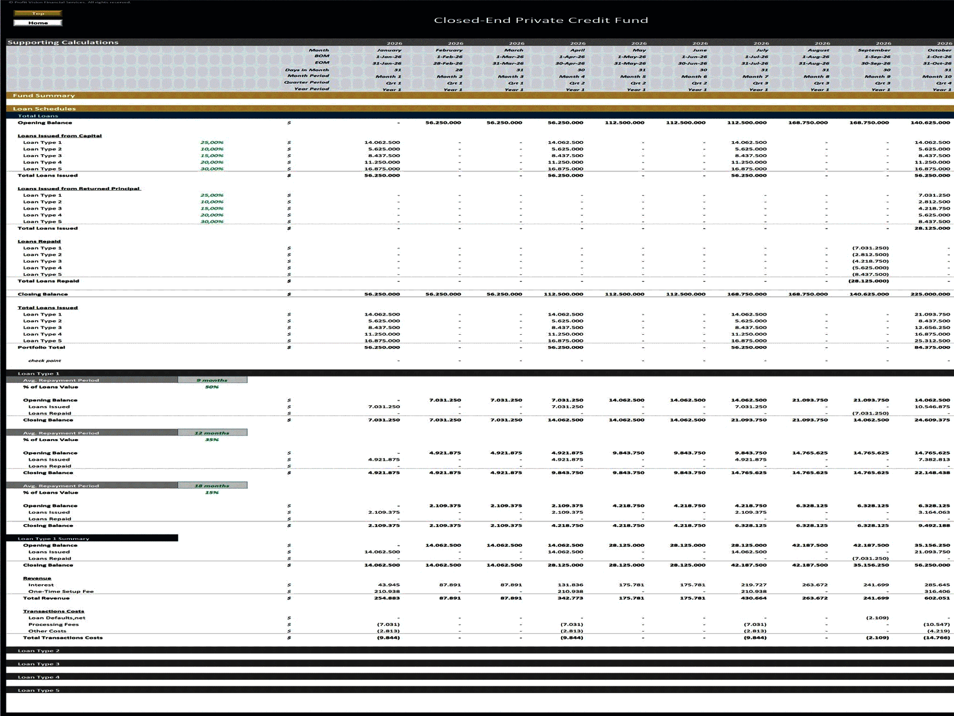 Private Credit Fund - 10 Year Financial Model (Excel template (XLSX)) Preview Image