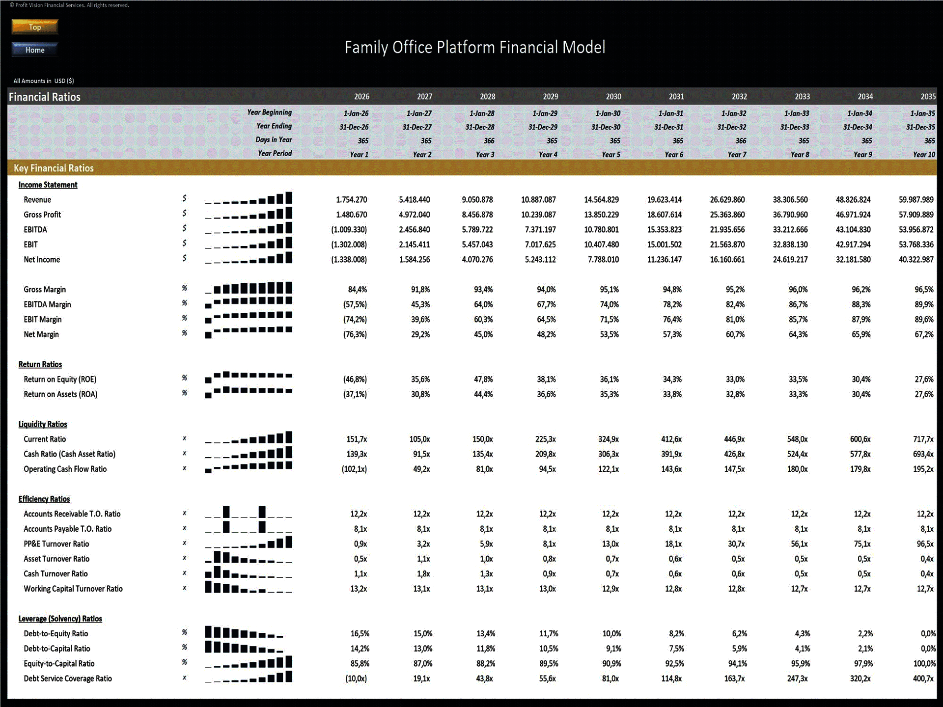 Family Office Platform – 10 Year Financial Model (Excel template (XLSX)) Preview Image