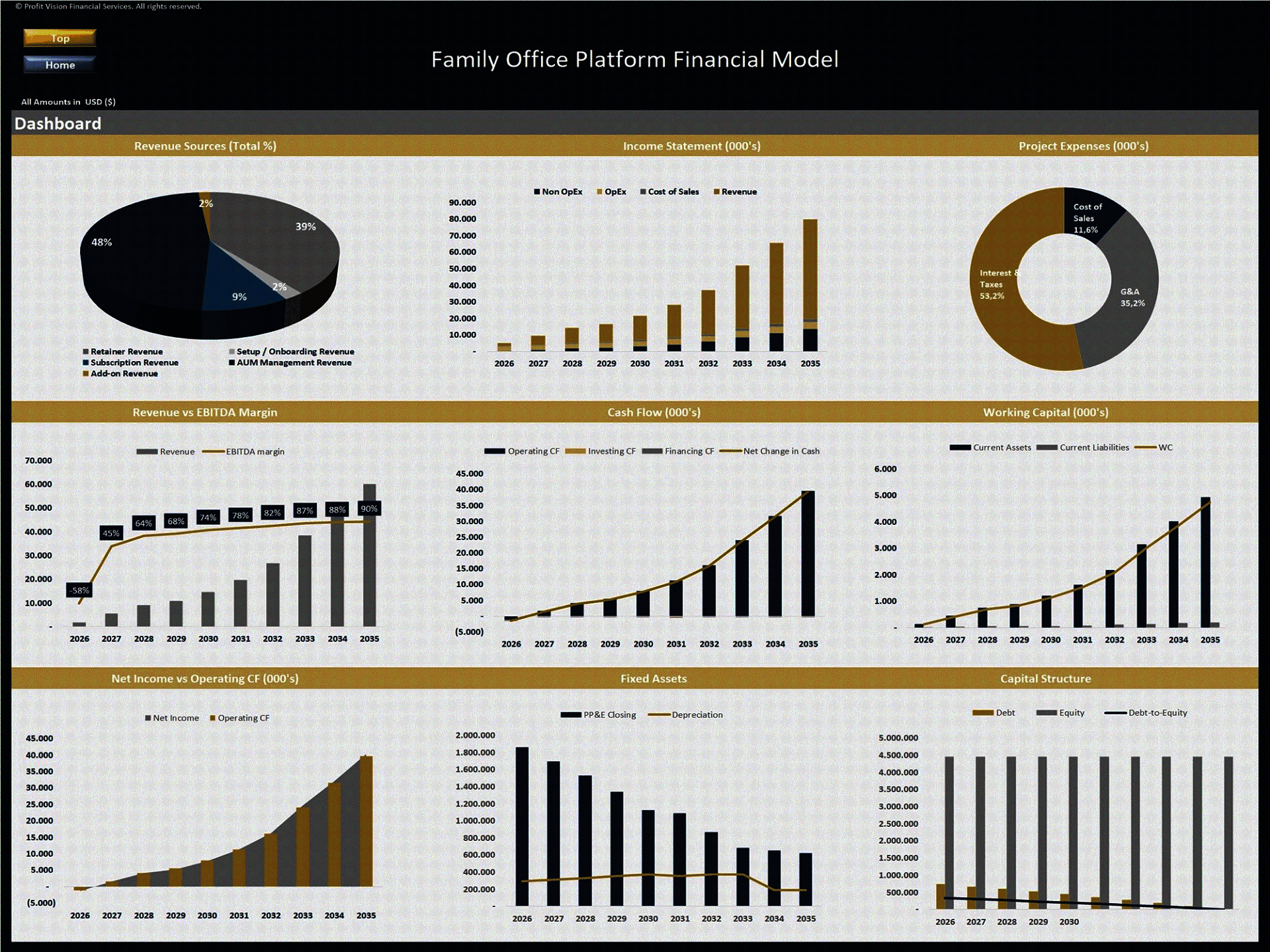 Family Office Platform – 10 Year Financial Model (Excel template (XLSX)) Preview Image