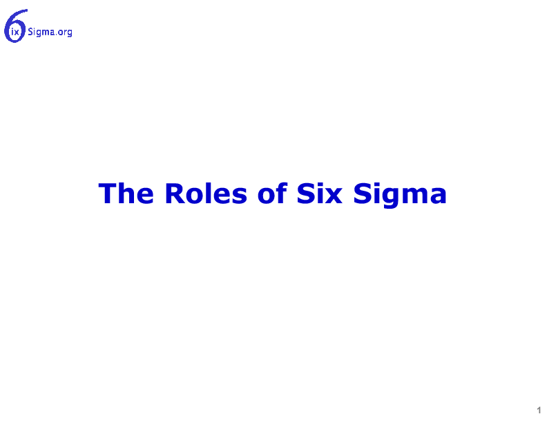 009_Roles of Six Sigma (12-slide PPT PowerPoint presentation (PPT)) Preview Image