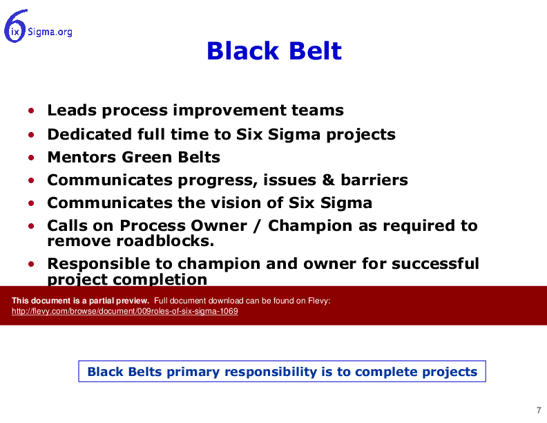 009_Roles of Six Sigma (12-slide PPT PowerPoint presentation (PPT)) Preview Image