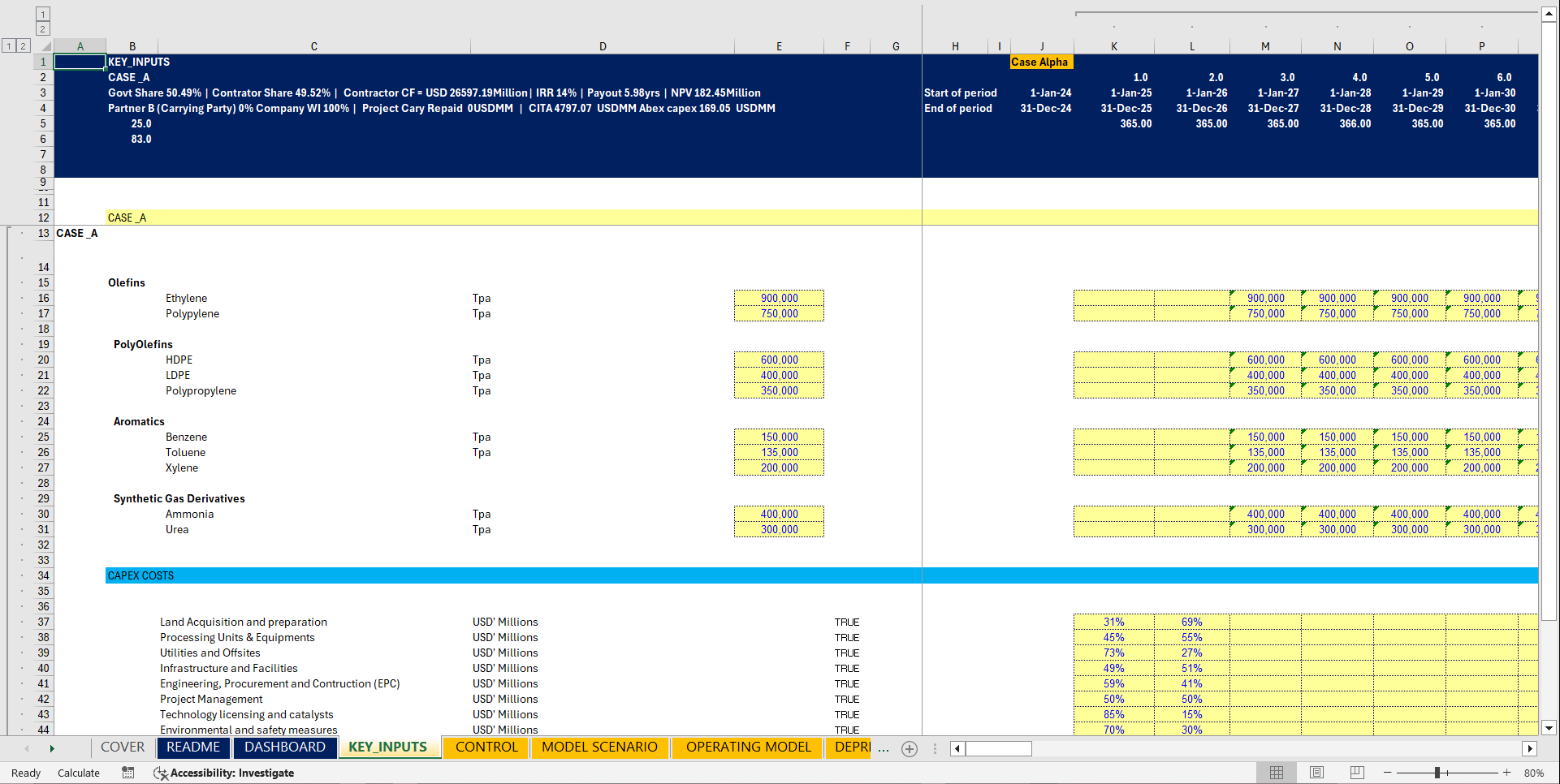 2.5 MTPA Petrochemical Project Economic Model (Excel template (XLSX)) Preview Image
