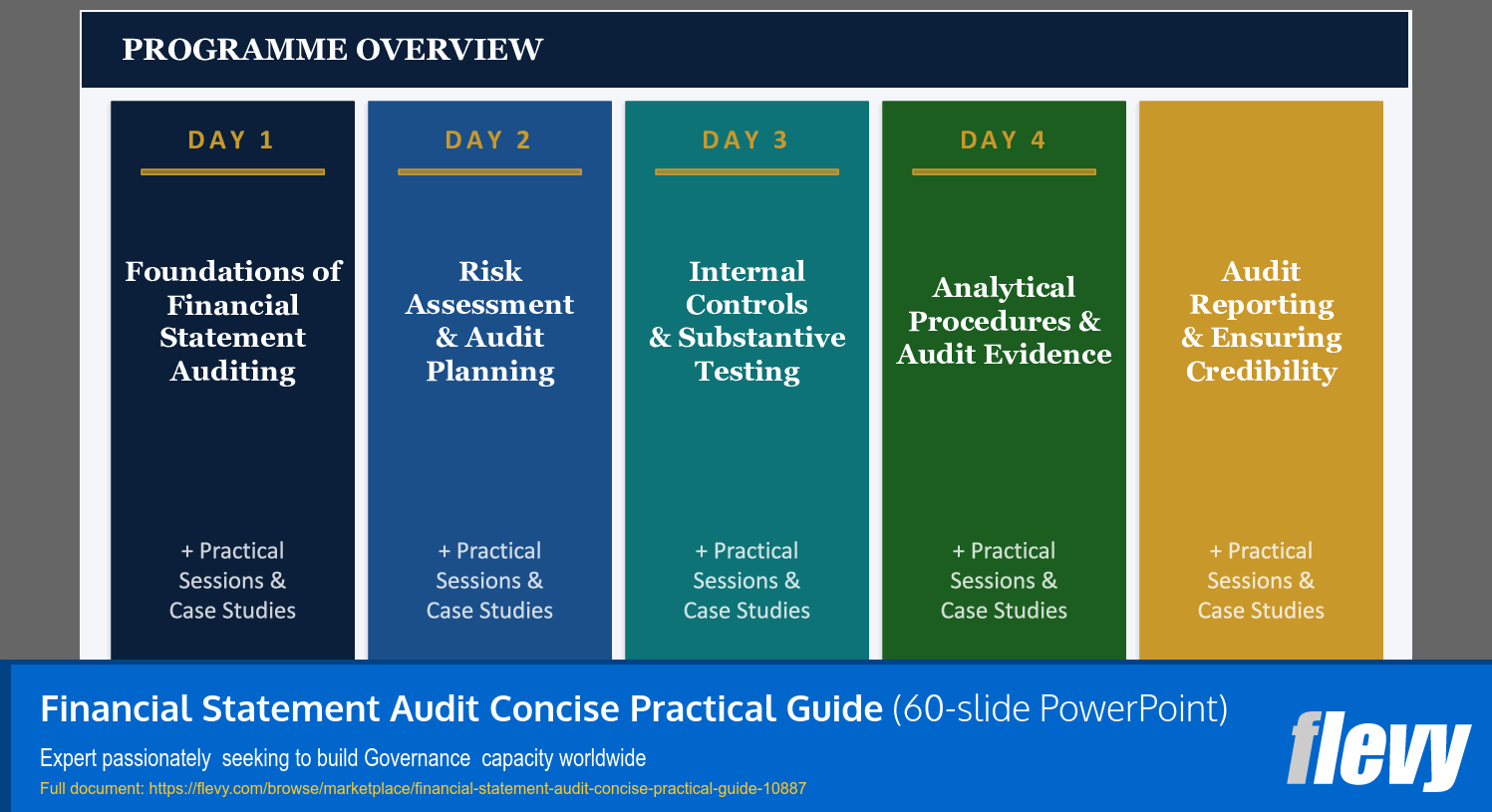 Financial Statement Audit Concise Practical Guide (60-slide PPT PowerPoint presentation slide deck (PPTX)) Preview Image
