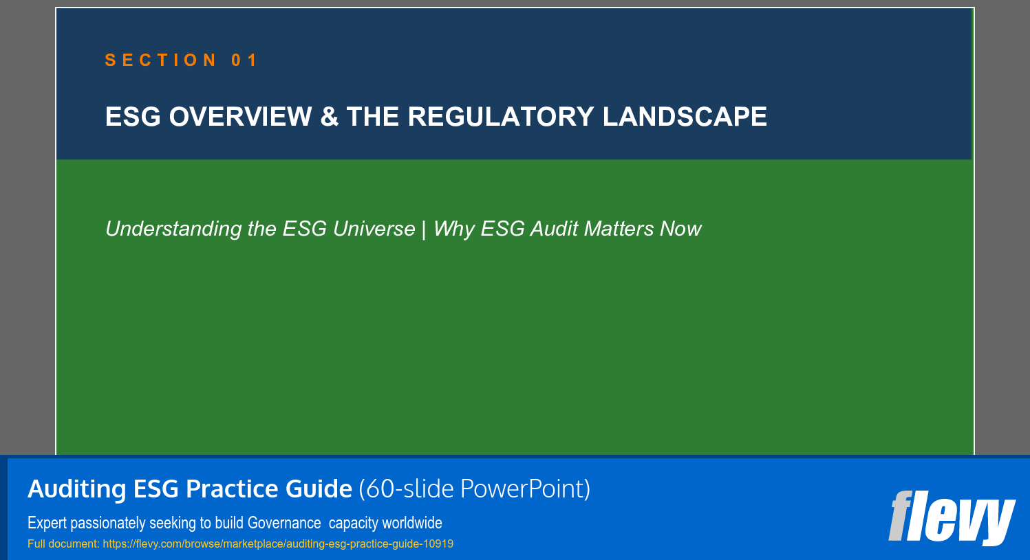 Auditing ESG Practice Guide (60-slide PPT PowerPoint presentation slide deck (PPTX)) Preview Image