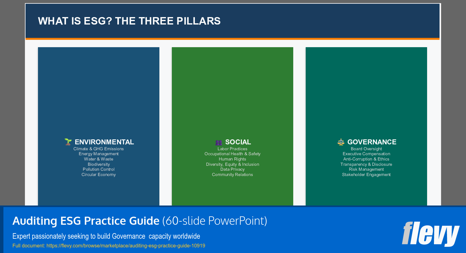 Auditing ESG Practice Guide (60-slide PPT PowerPoint presentation slide deck (PPTX)) Preview Image