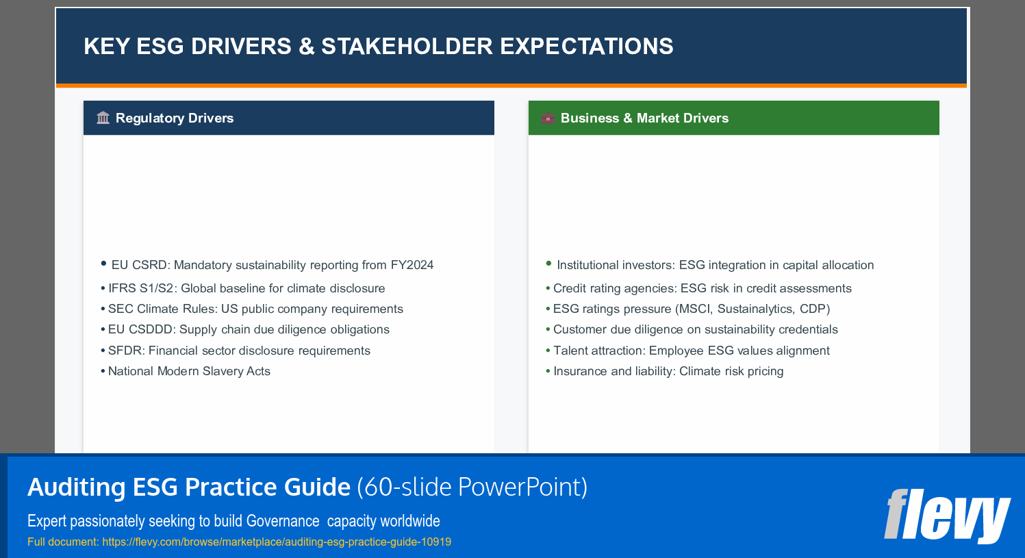 Auditing ESG Practice Guide (60-slide PPT PowerPoint presentation slide deck (PPTX)) Preview Image