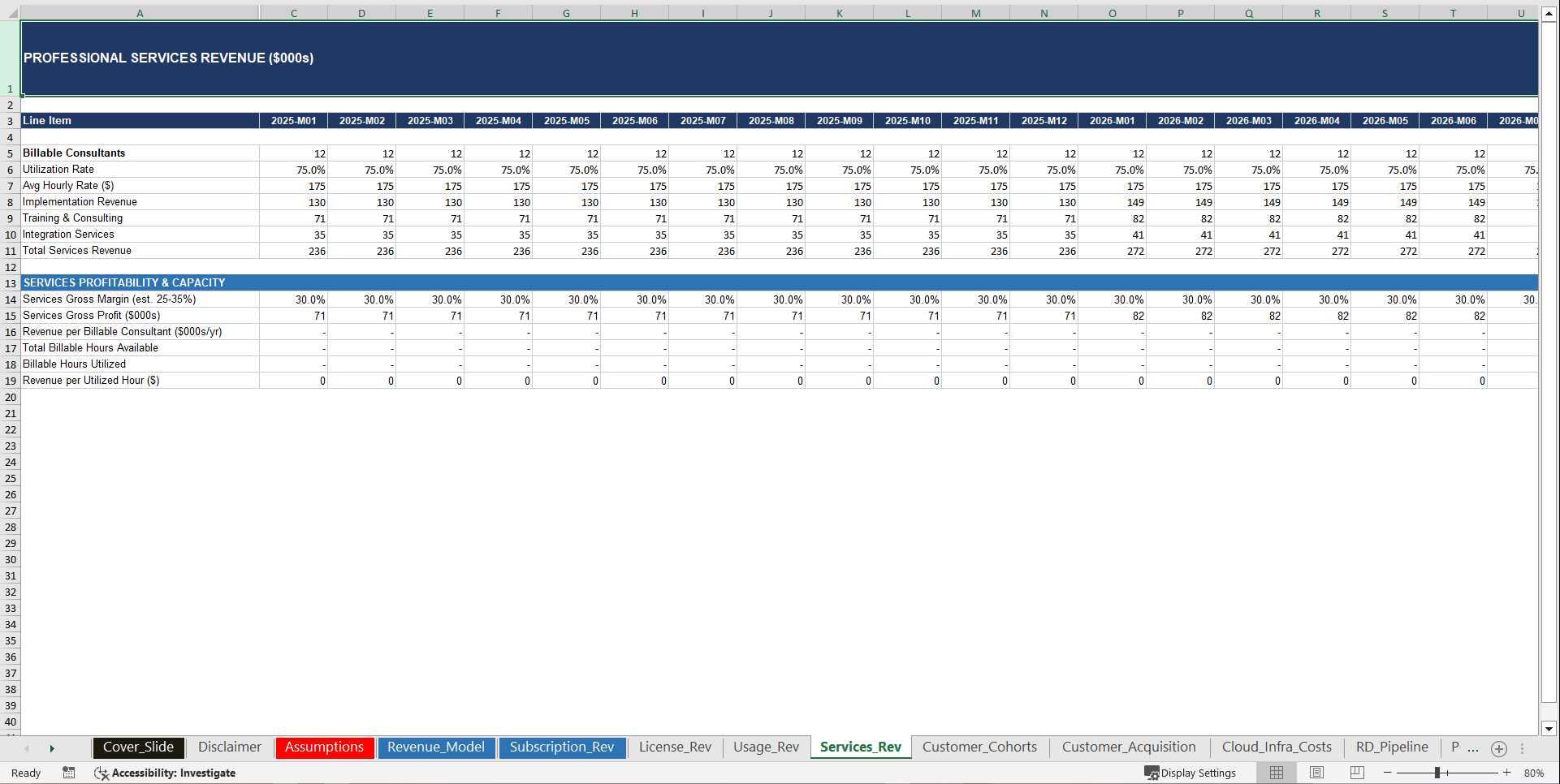 Software Development Company Advanced Financial Model (Excel template (XLSX)) Preview Image
