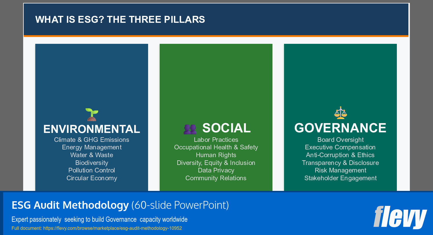 ESG Audit Methodology (60-slide PPT PowerPoint presentation slide deck (PPTX)) Preview Image
