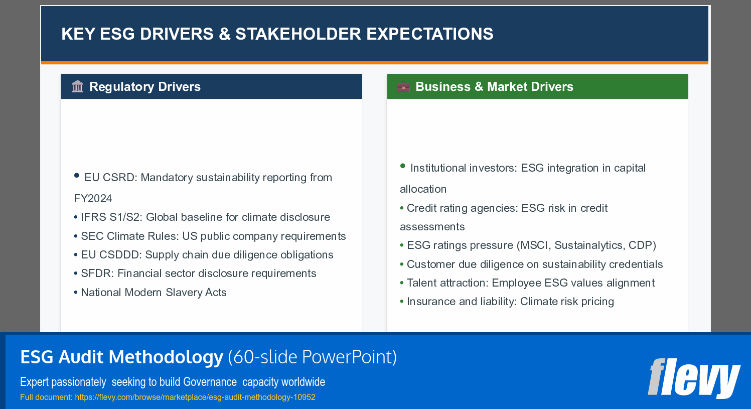 ESG Audit Methodology (60-slide PPT PowerPoint presentation slide deck (PPTX)) Preview Image