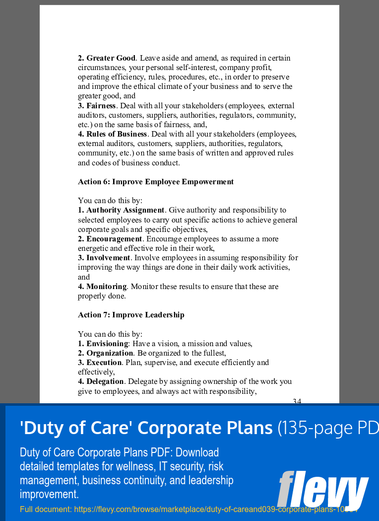 'Duty of Care' Corporate Plans (135-page PDF document) Preview Image