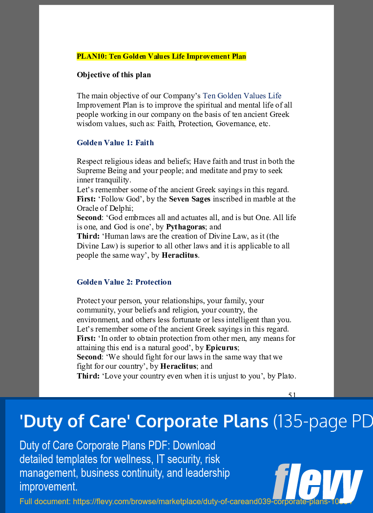'Duty of Care' Corporate Plans (135-page PDF document) Preview Image