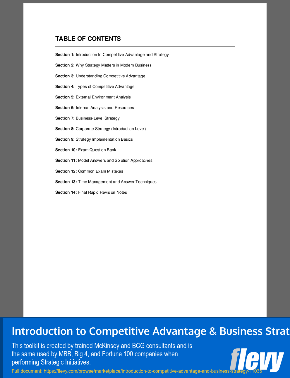 Introduction to Competitive Advantage & Business Strategy (40-page PDF document) Preview Image