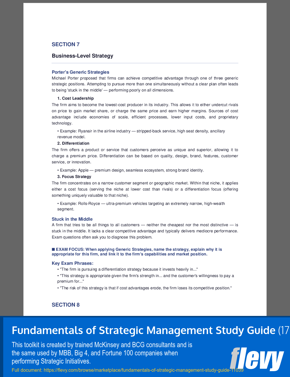 Fundamentals of Strategic Management Study Guide (17-page PDF document) Preview Image