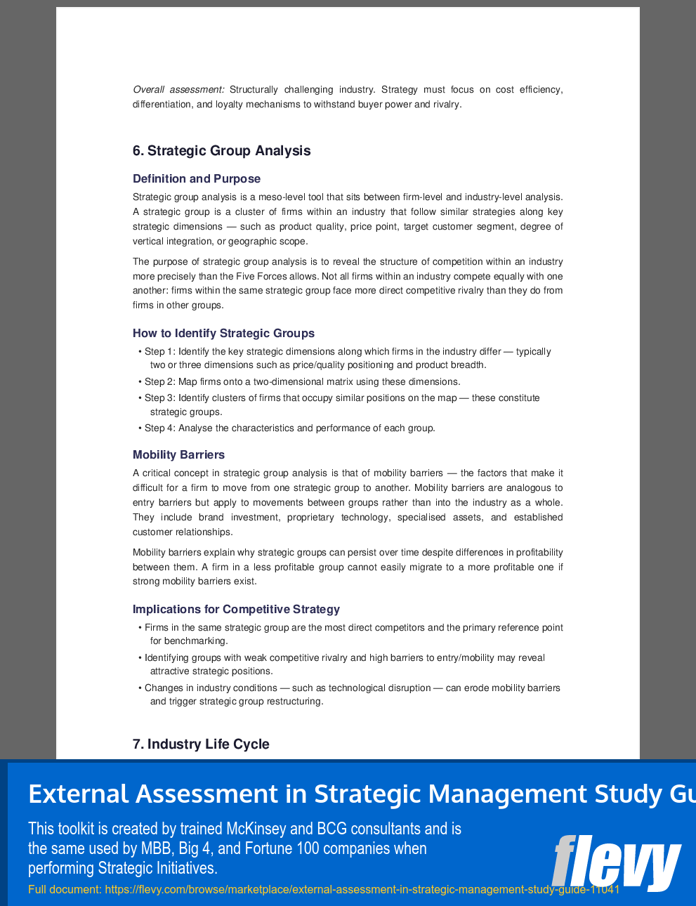 External Assessment in Strategic Management Study Guide (18-page PDF document) Preview Image