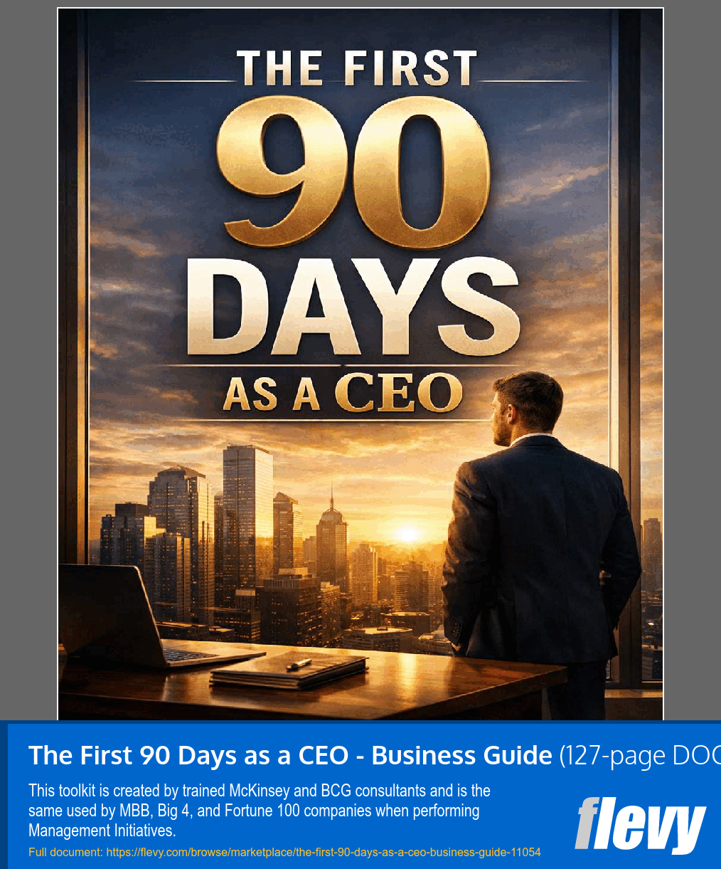 First 90 Days as a CEO - Business Guide (127-page Word document) Preview Image