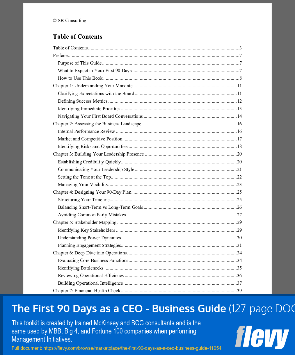 First 90 Days as a CEO - Business Guide (127-page Word document) Preview Image