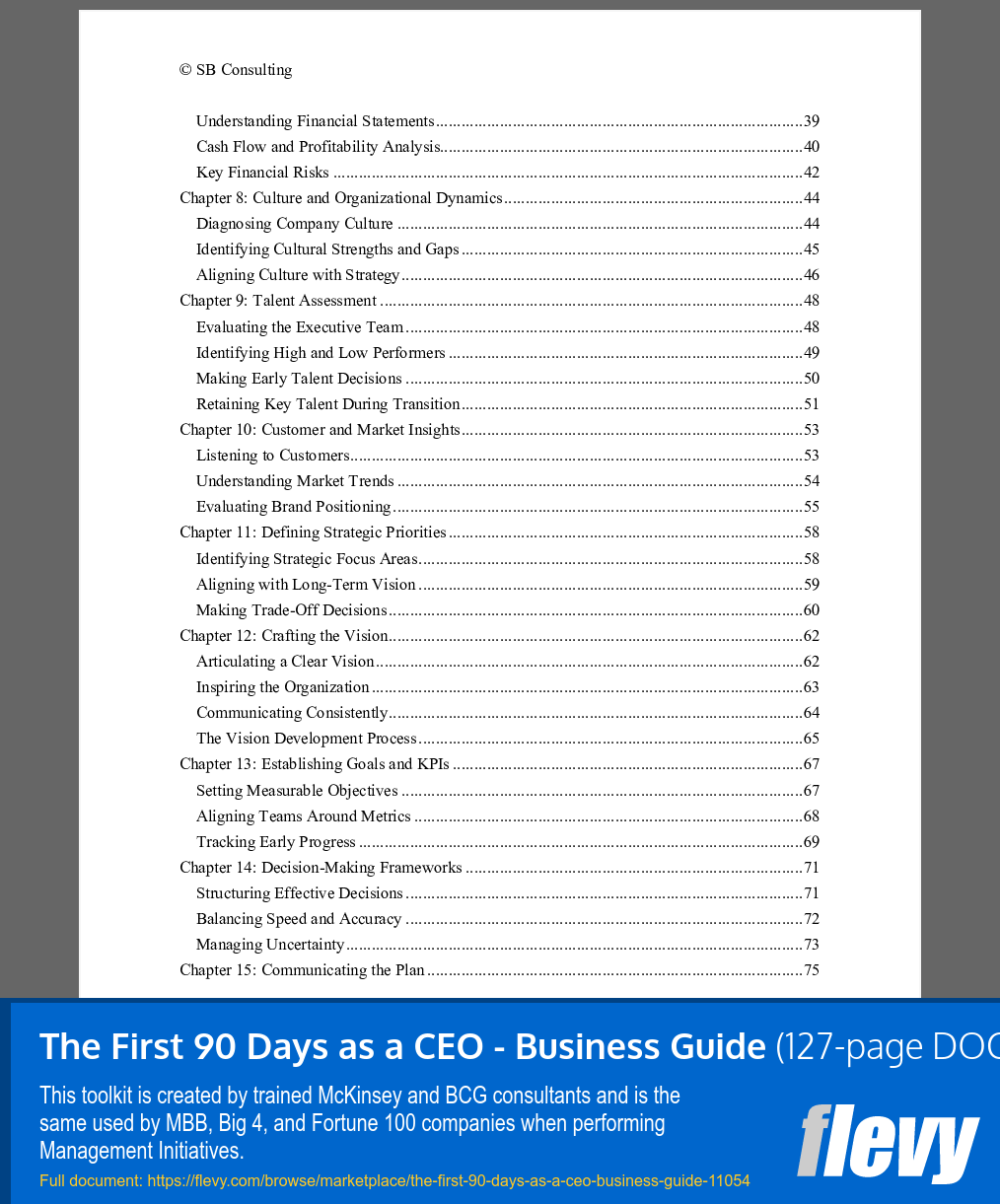 First 90 Days as a CEO - Business Guide (127-page Word document) Preview Image