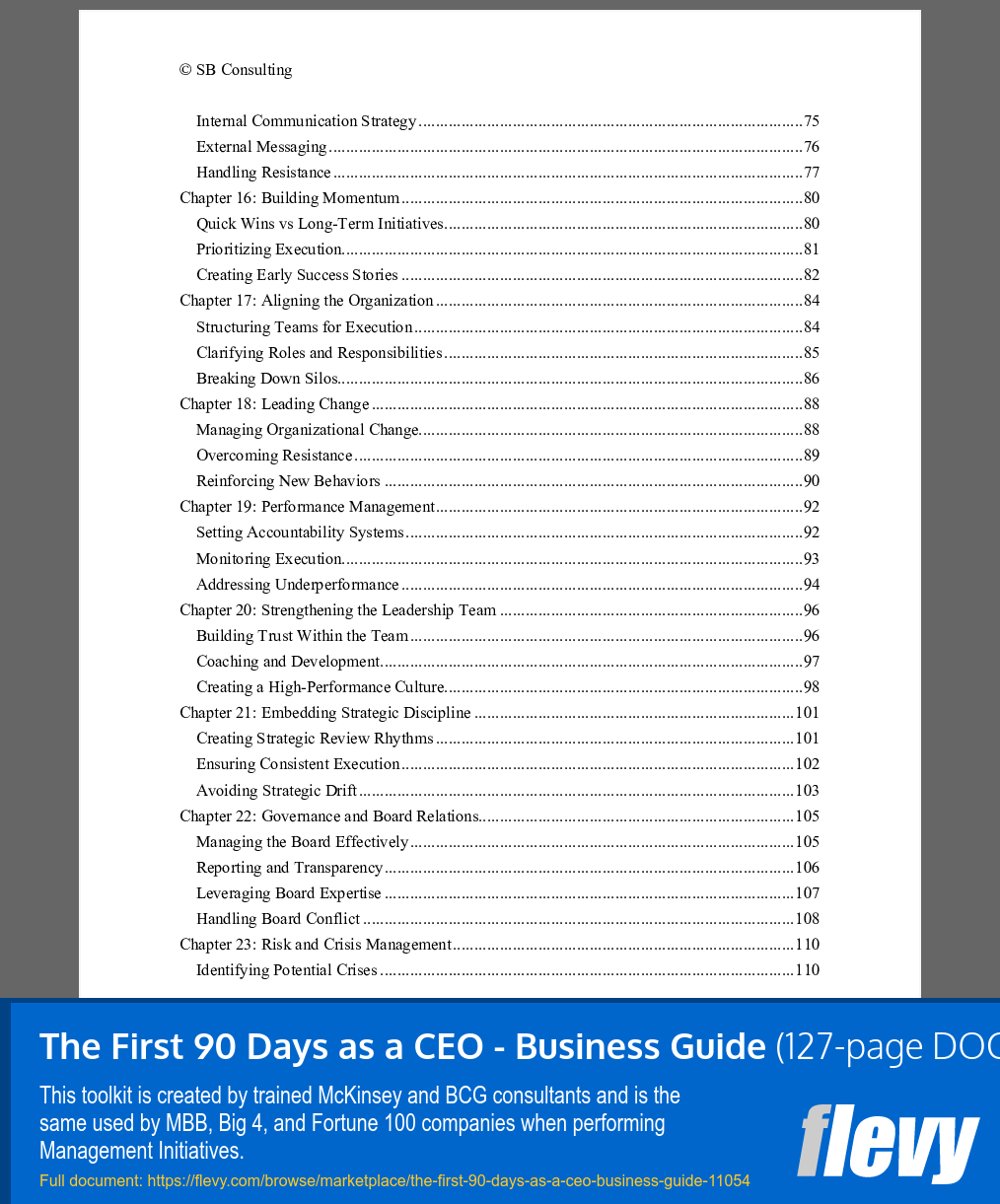 First 90 Days as a CEO - Business Guide (127-page Word document) Preview Image