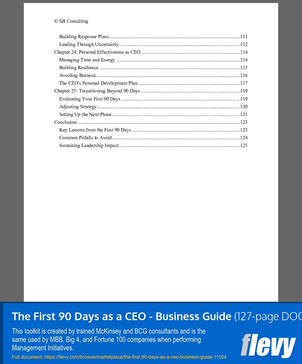 First 90 Days as a CEO - Business Guide (127-page Word document) Preview Image