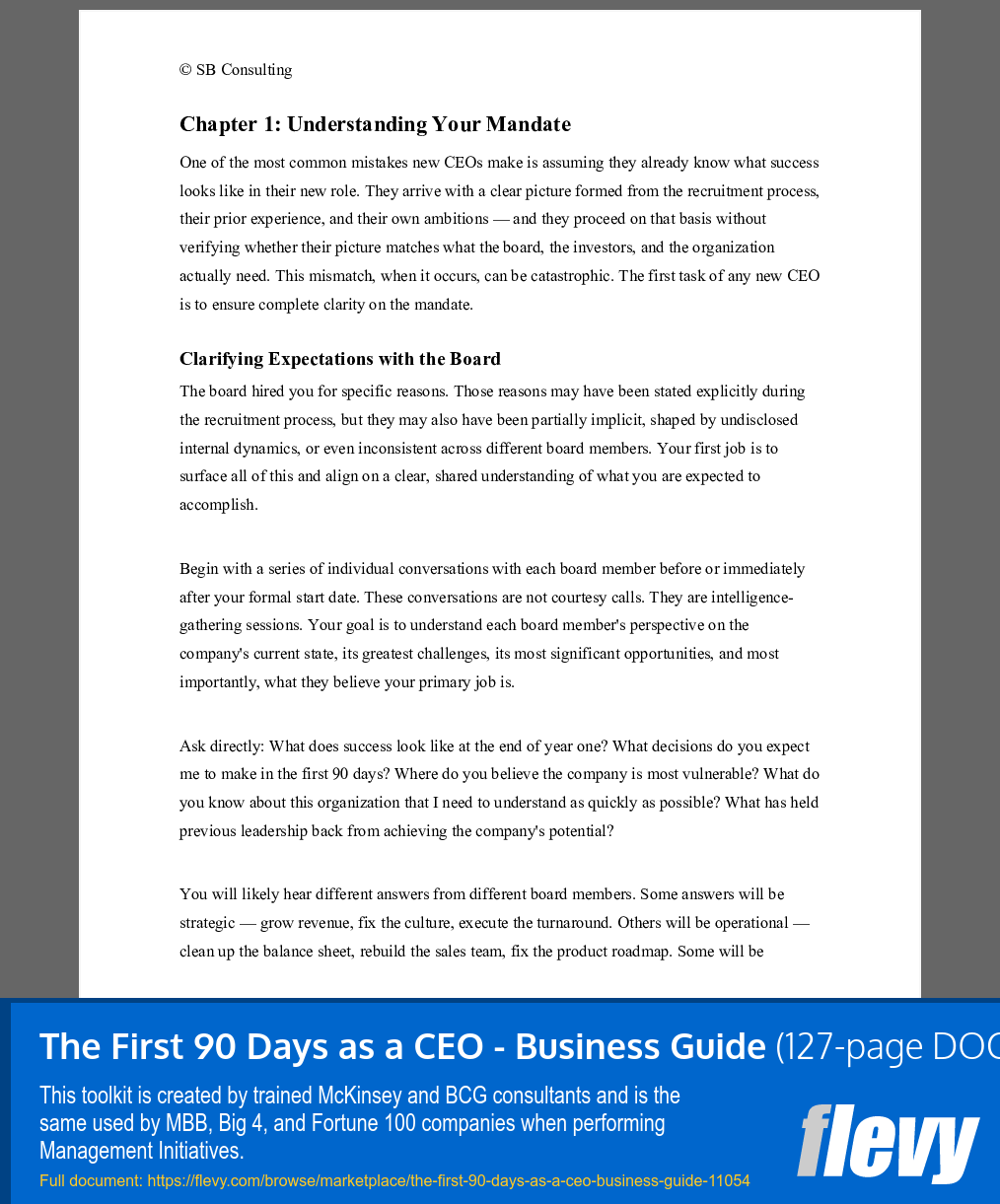 First 90 Days as a CEO - Business Guide (127-page Word document) Preview Image