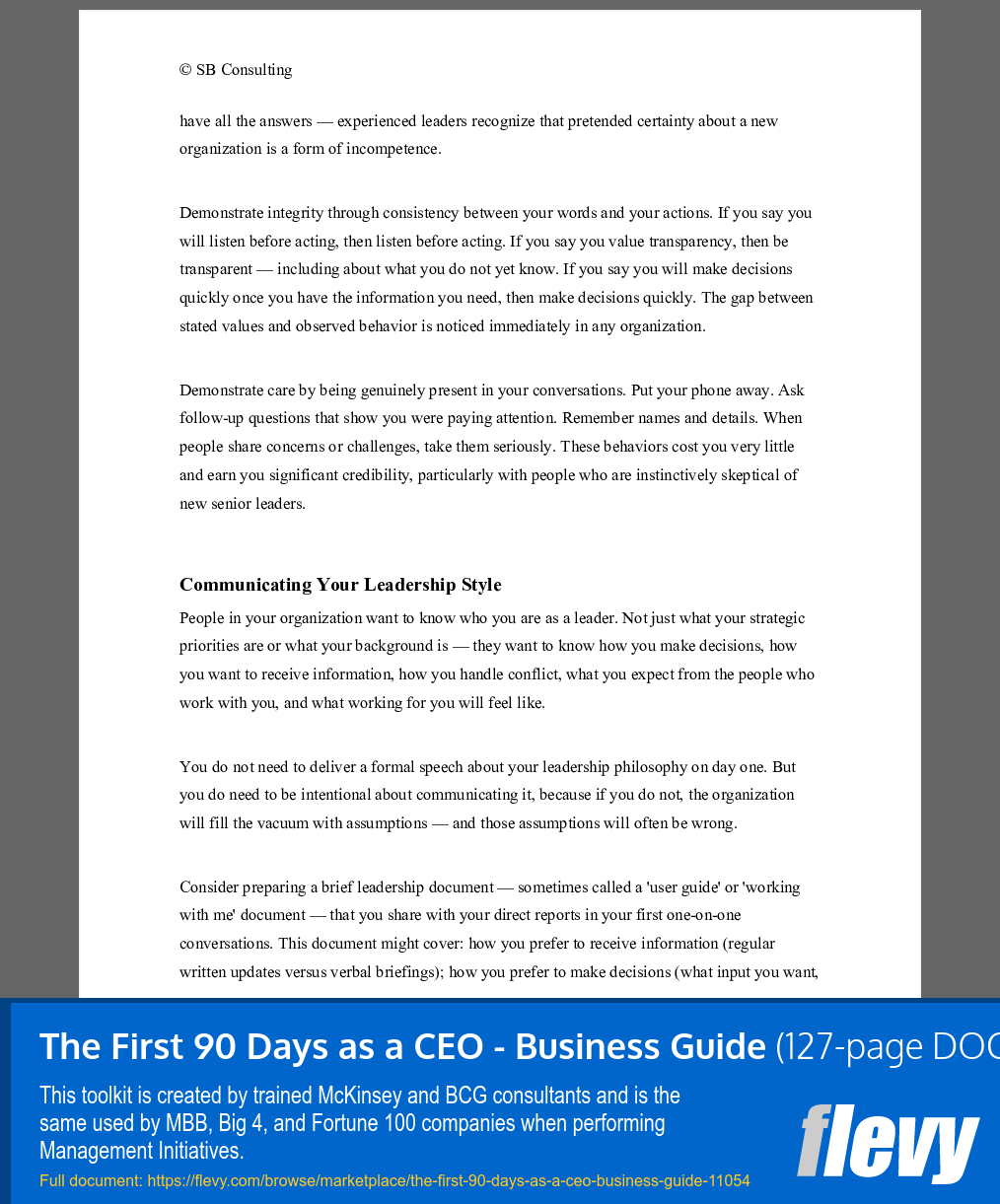 First 90 Days as a CEO - Business Guide (127-page Word document) Preview Image