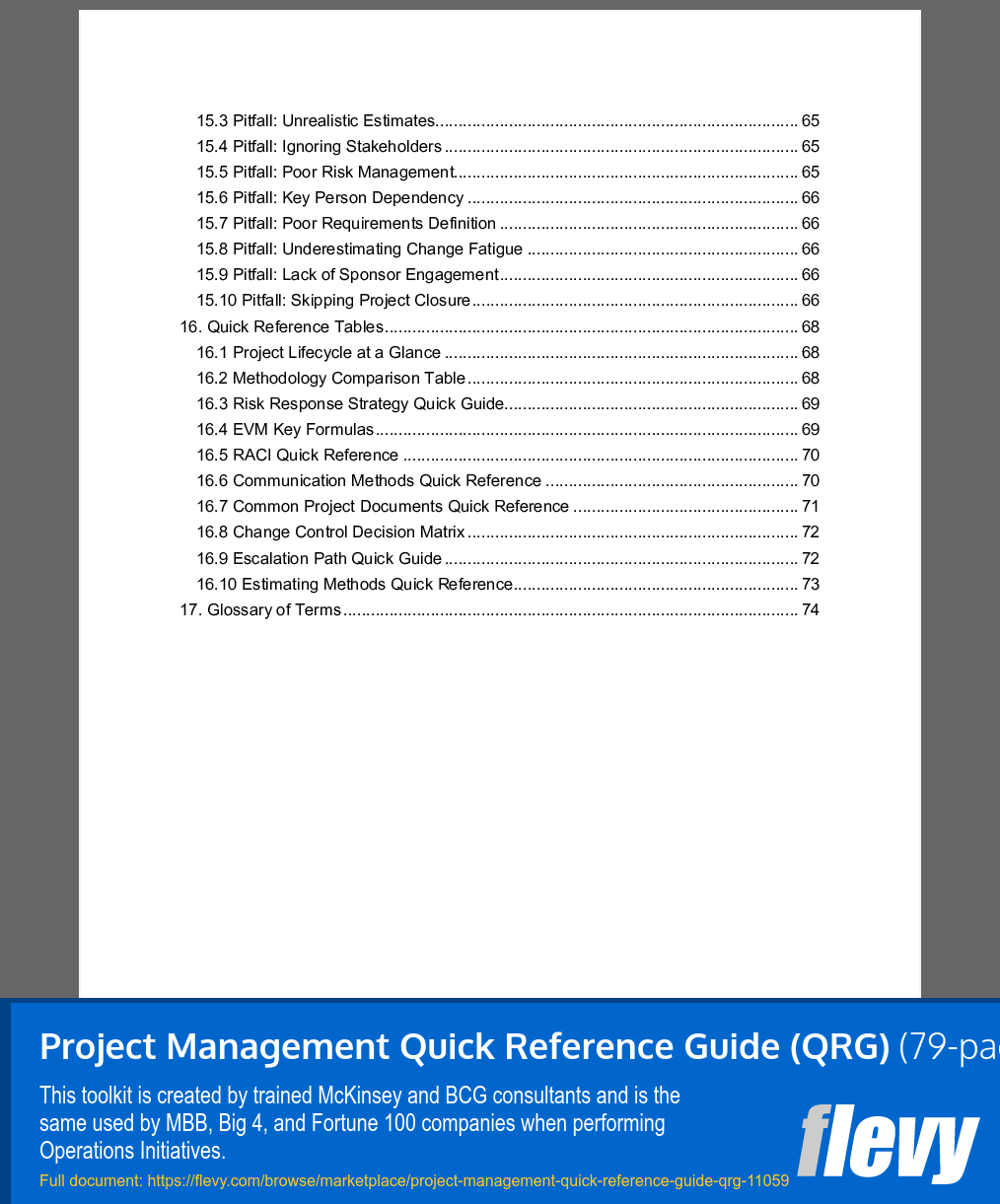 Project Management Quick Reference Guide (QRG) (79-page Word document) Preview Image