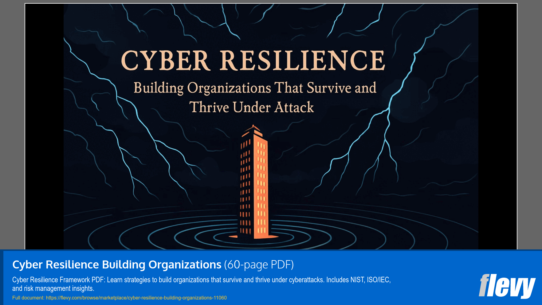 Cyber Resilience Building Organizations (60-page PDF document) Preview Image