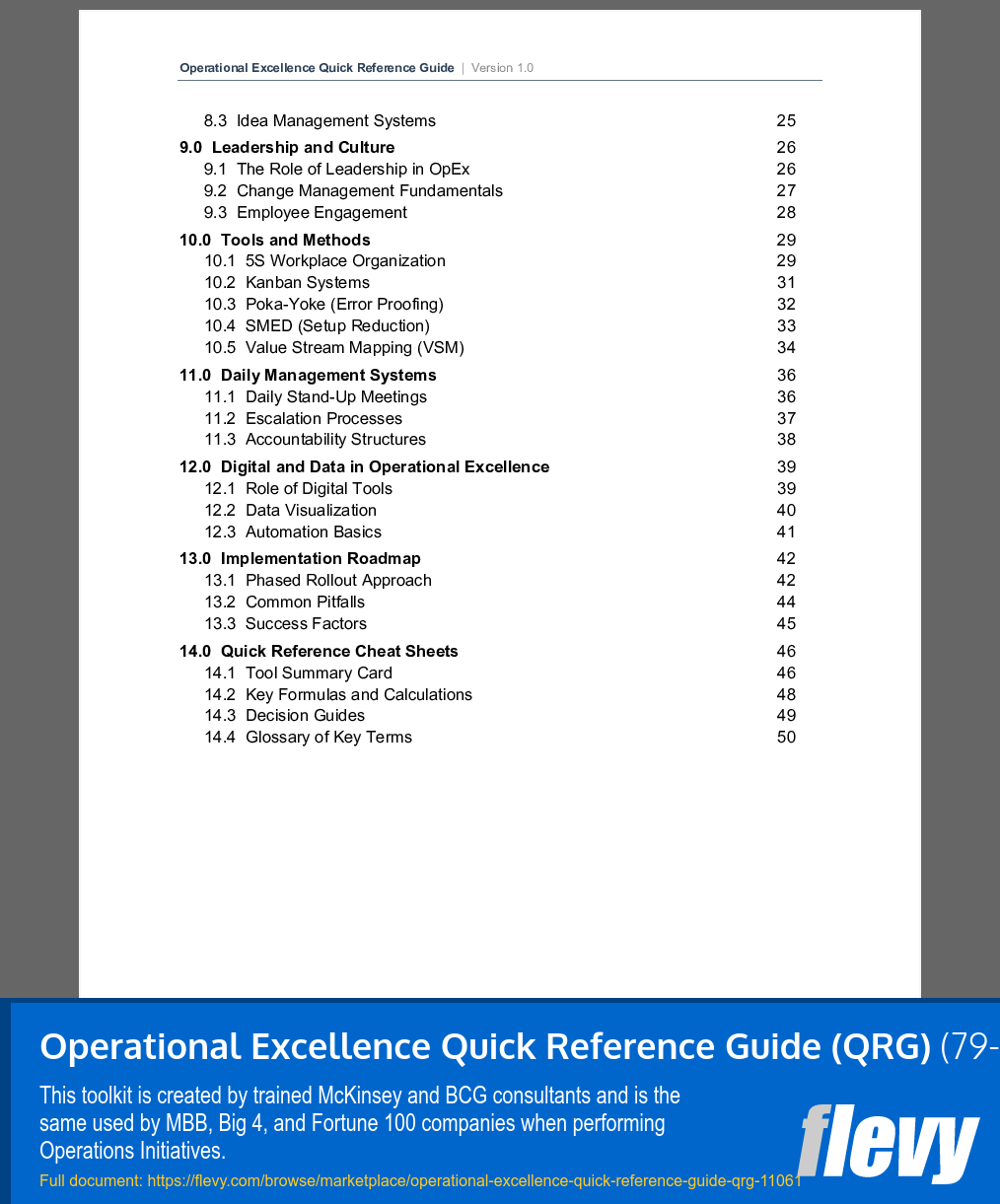 Operational Excellence Quick Reference Guide (QRG) (79-page Word document) Preview Image
