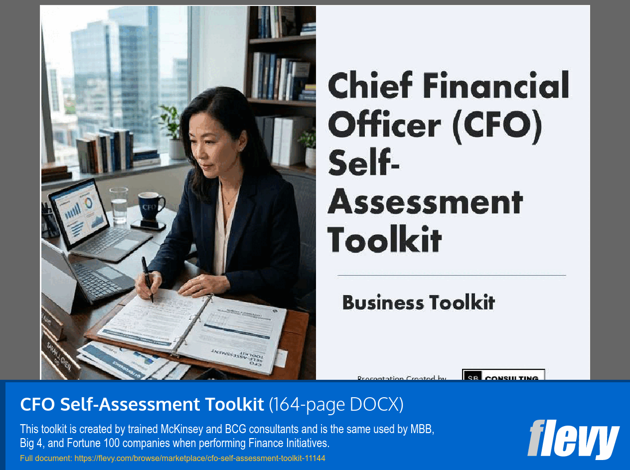 CFO Self-Assessment Toolkit (164-page Word document) Preview Image
