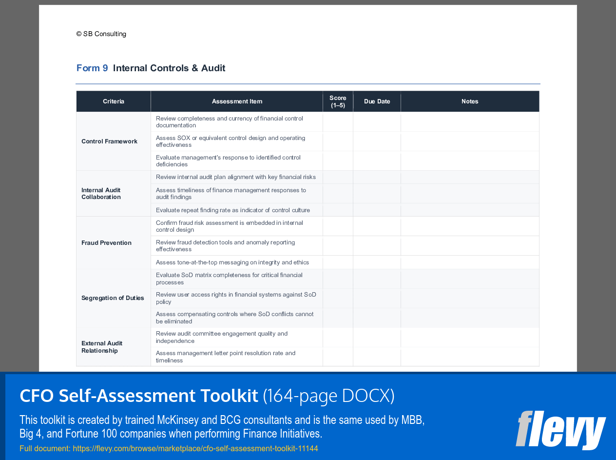 CFO Self-Assessment Toolkit (164-page Word document) Preview Image