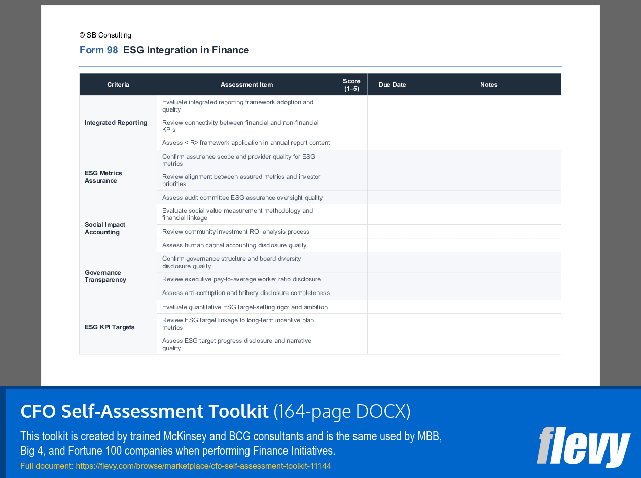 CFO Self-Assessment Toolkit (164-page Word document) Preview Image