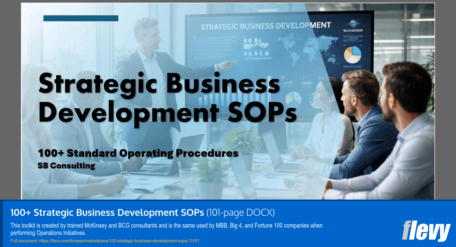 100+ Strategic Business Development SOPs (101-page Word document) Preview Image