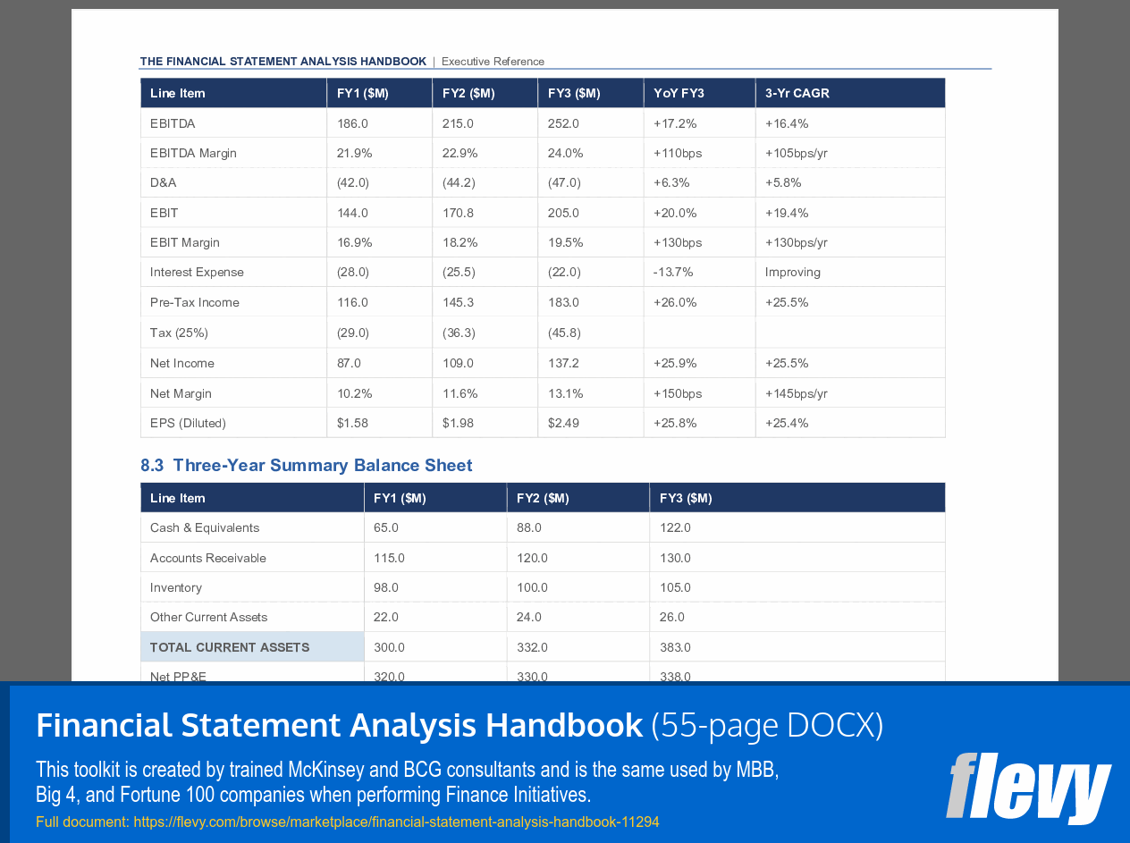 Financial Statement Analysis Handbook (55-page Word document) Preview Image
