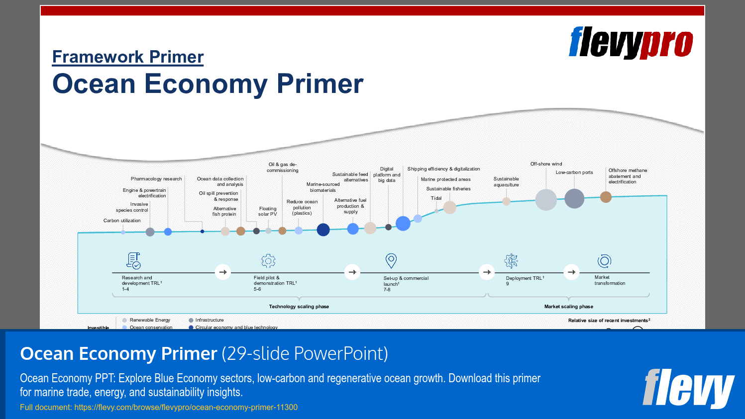 Ocean Economy Primer (29-slide PPT PowerPoint presentation slide deck (PPTX)) Preview Image