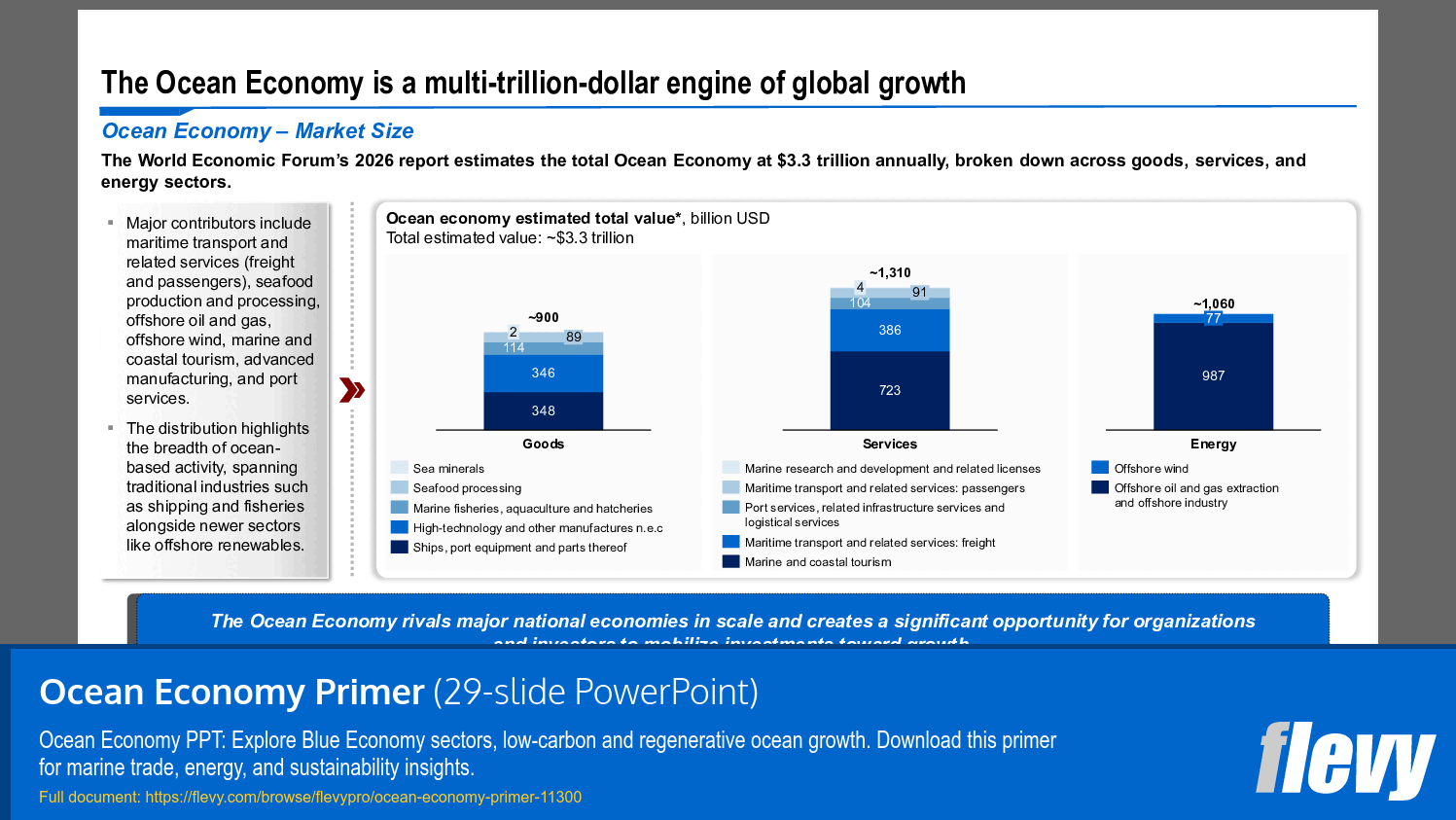 Ocean Economy Primer (29-slide PPT PowerPoint presentation slide deck (PPTX)) Preview Image