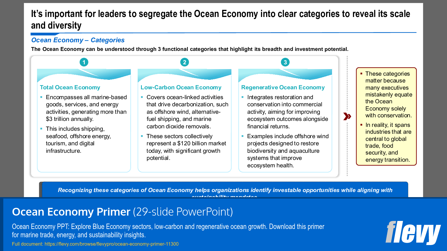 Ocean Economy Primer (29-slide PPT PowerPoint presentation slide deck (PPTX)) Preview Image