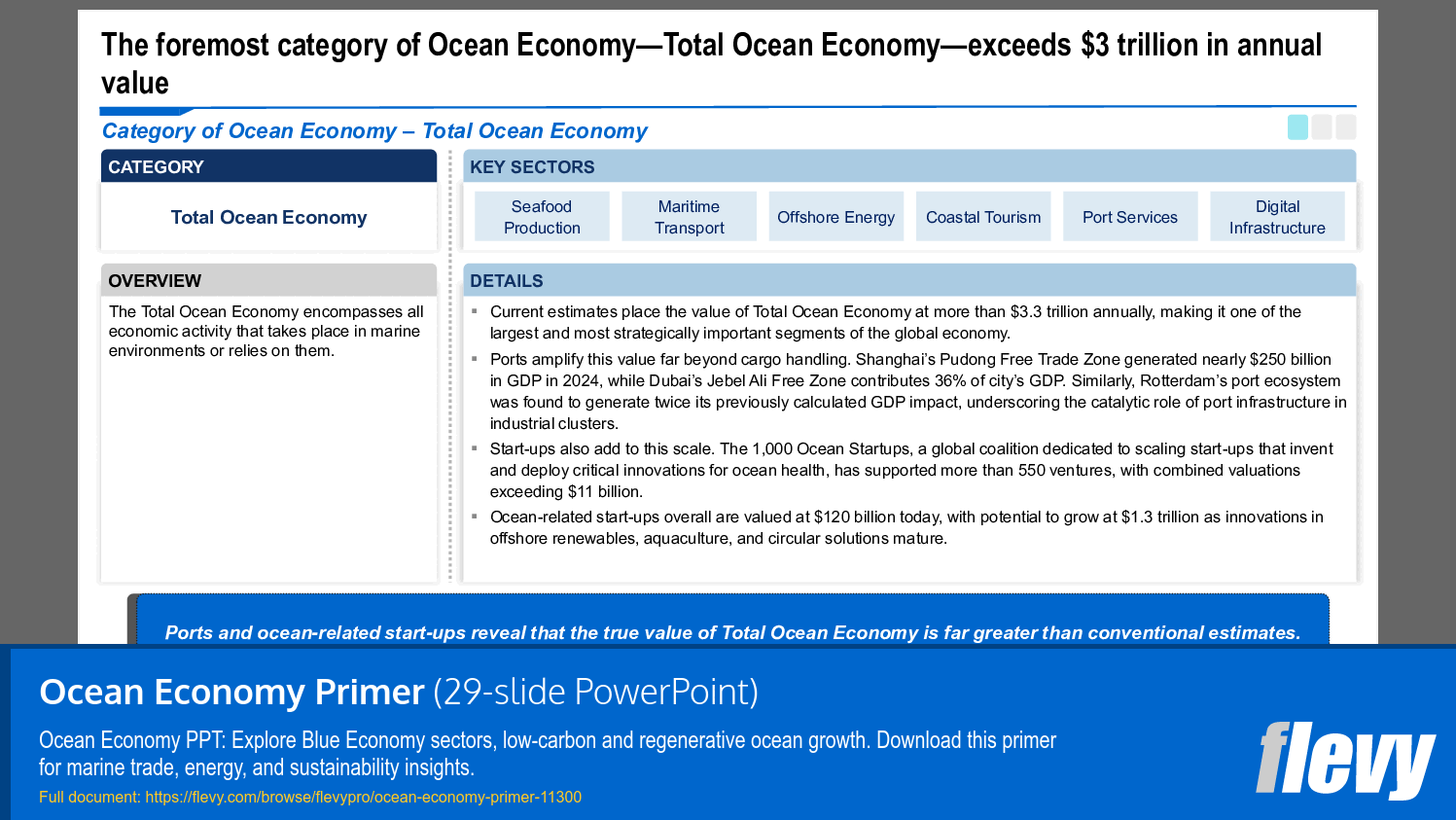 Ocean Economy Primer (29-slide PPT PowerPoint presentation slide deck (PPTX)) Preview Image