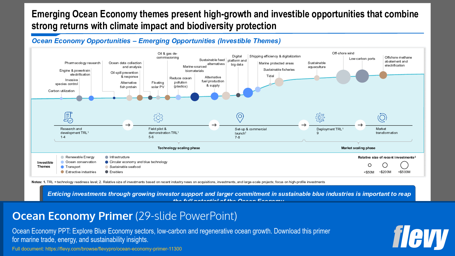 Investable Themes in the Emerging Ocean Economy