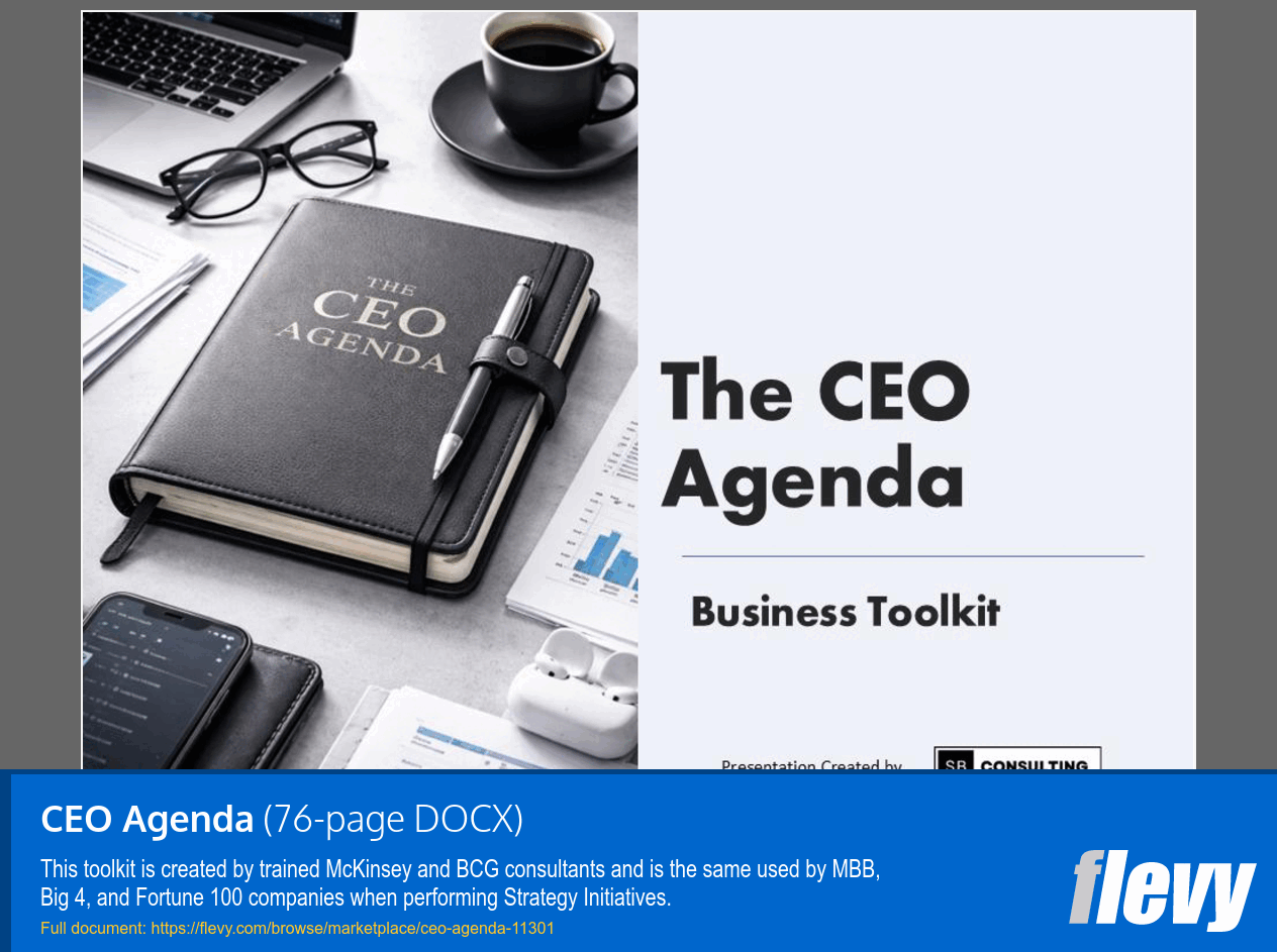 CEO Agenda (76-page Word document) Preview Image