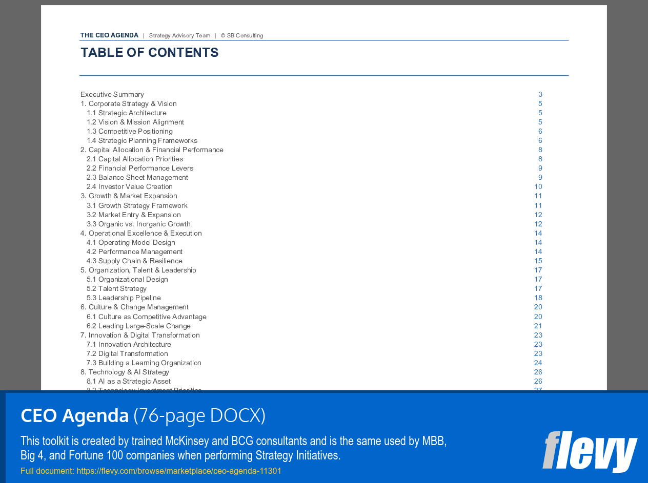 CEO Agenda (76-page Word document) Preview Image