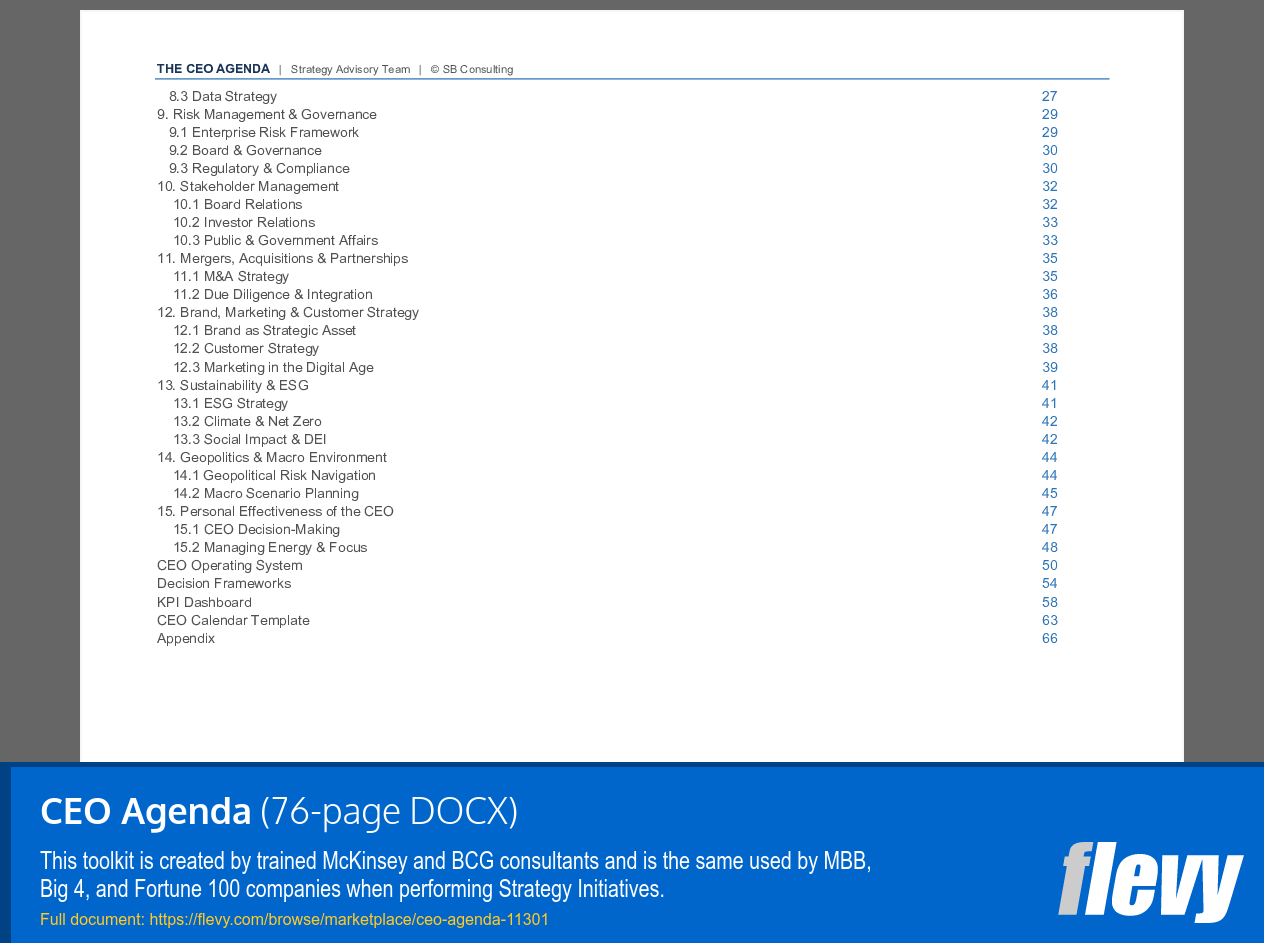 CEO Agenda (76-page Word document) Preview Image
