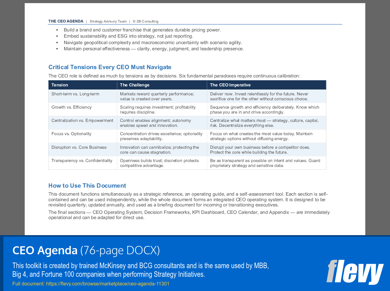 CEO Agenda (76-page Word document) Preview Image