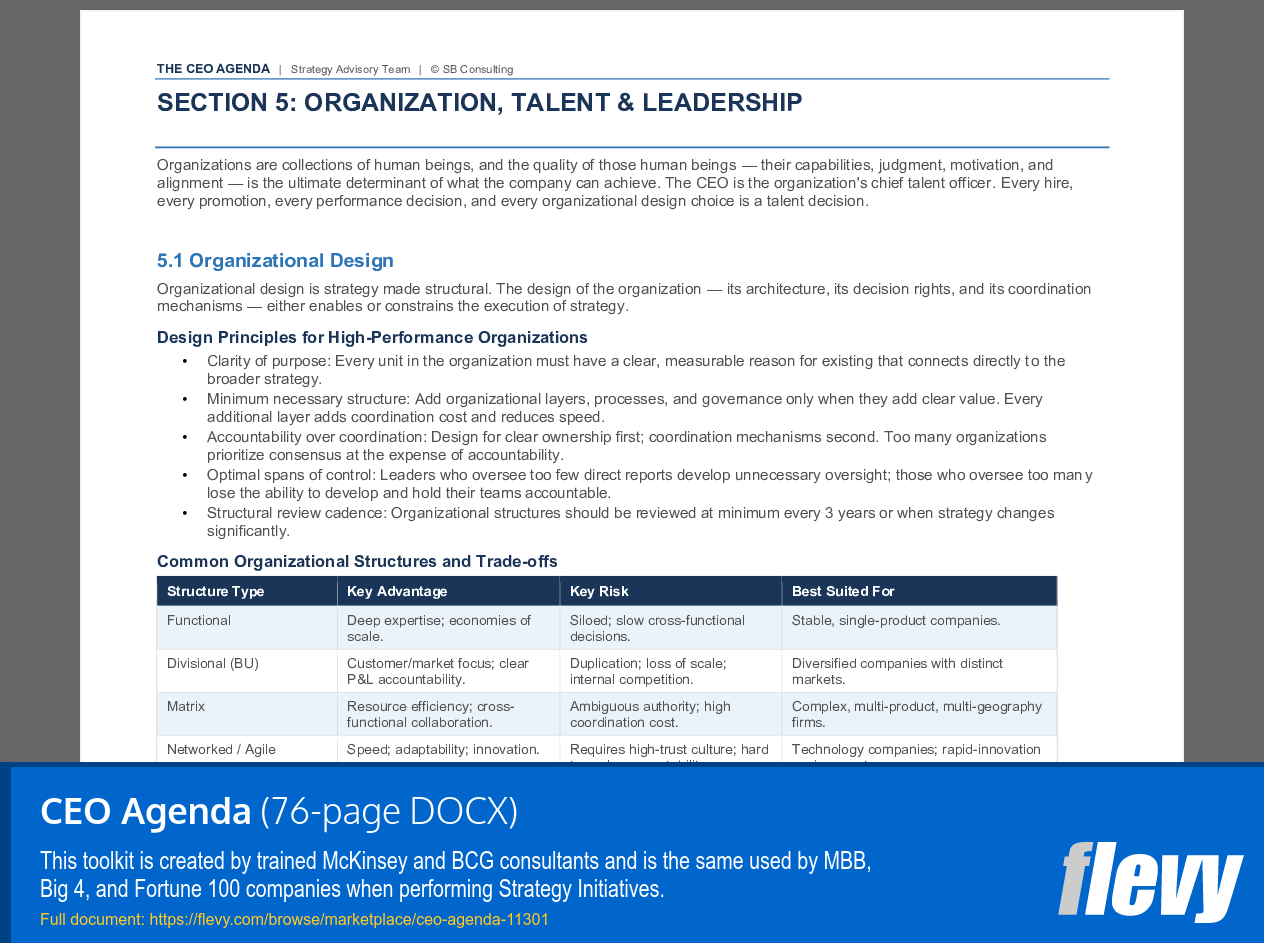 CEO Agenda (76-page Word document) Preview Image