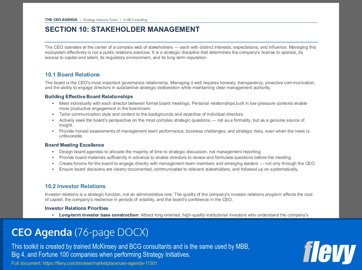 CEO Agenda (76-page Word document) Preview Image
