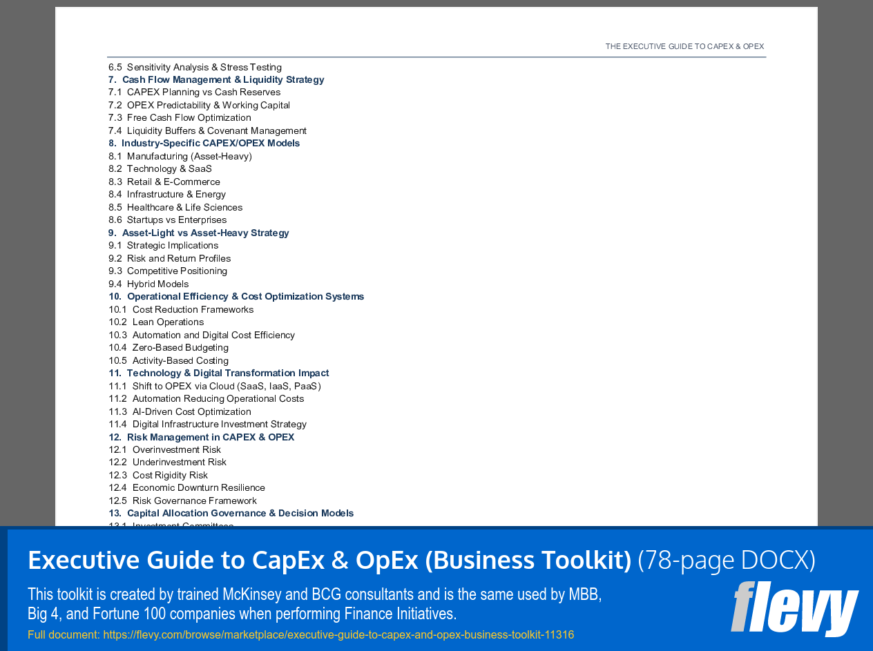 Executive Guide to CapEx & OpEx (Business Toolkit) (78-page Word document) Preview Image