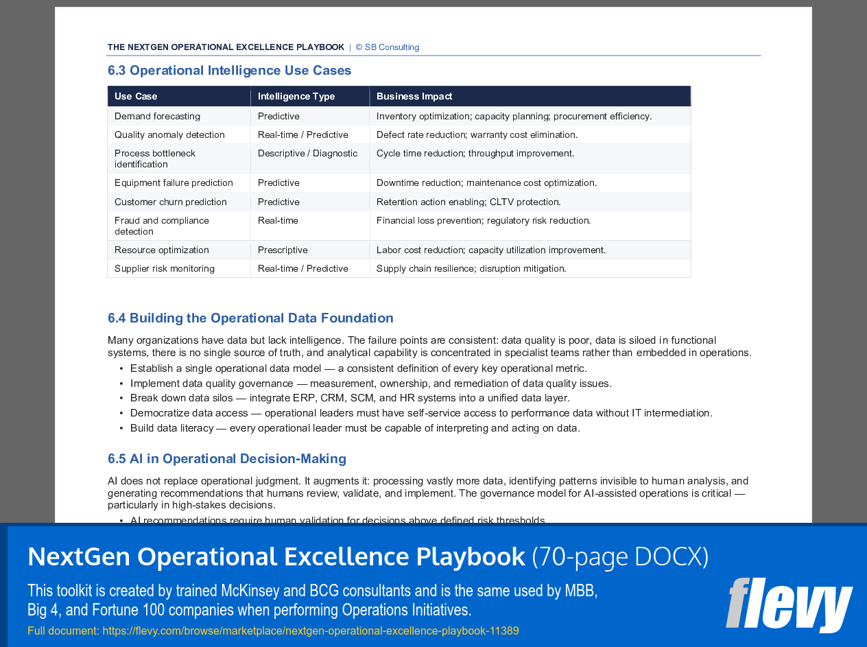 NextGen Operational Excellence Playbook (70-page Word document) Preview Image