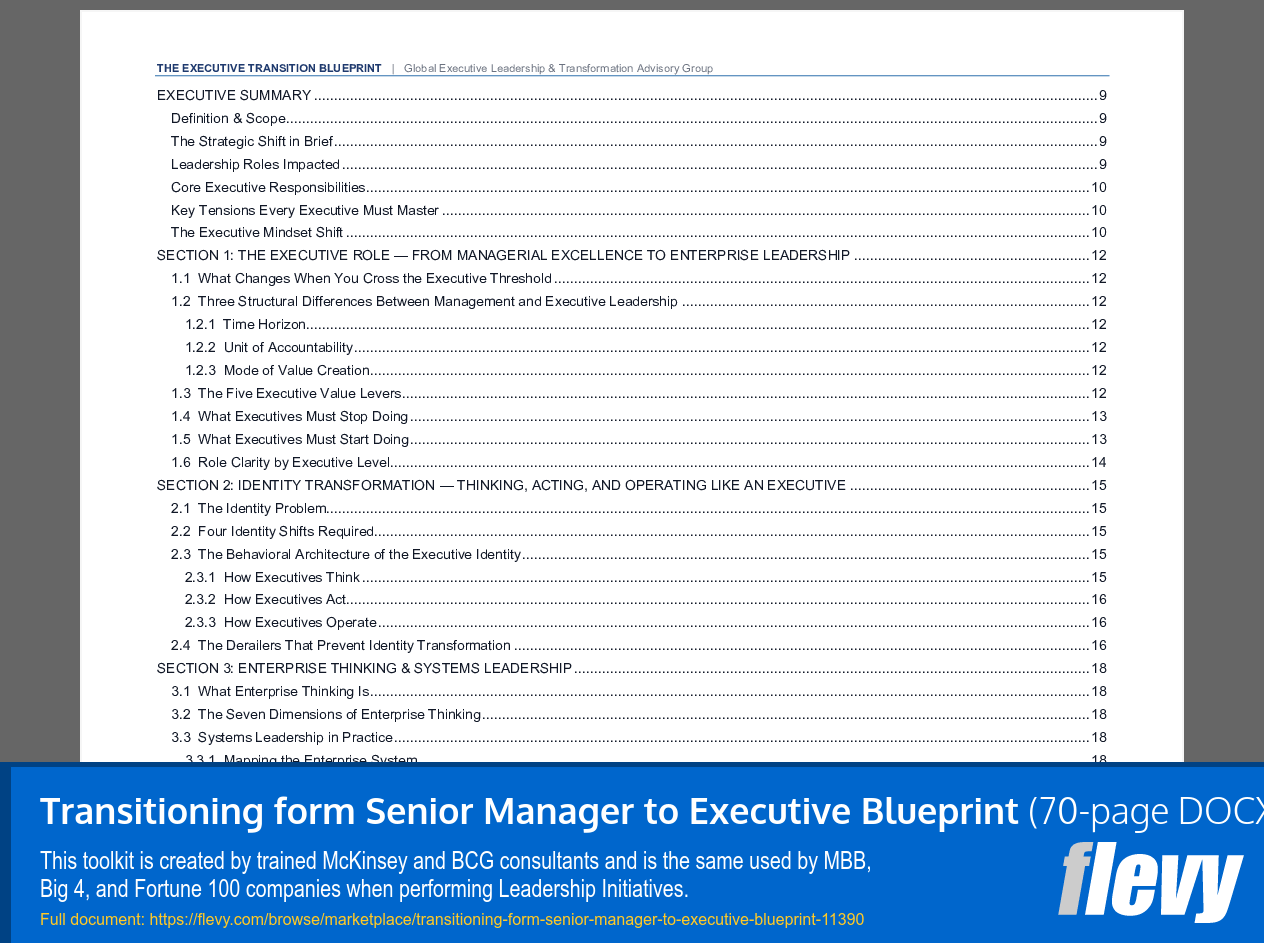 Transitioning from Senior Manager to Executive Blueprint (70-page Word document) Preview Image