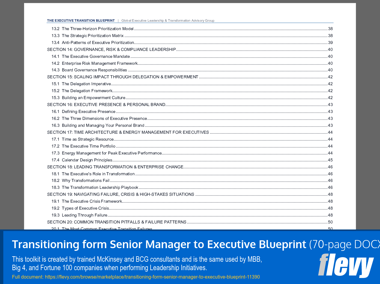 Transitioning from Senior Manager to Executive Blueprint (70-page Word document) Preview Image