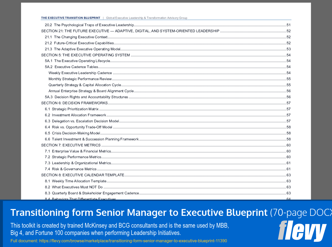 Transitioning from Senior Manager to Executive Blueprint (70-page Word document) Preview Image